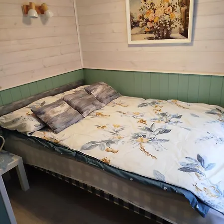 Reinholdi Metsamaja *