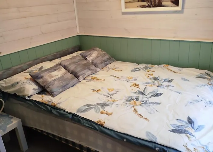 Reinholdi Metsamaja *